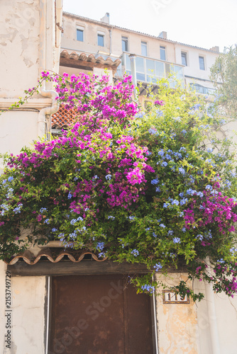 Marseille, France - 1 August 2026 : Vibrant purple-magenta bougainvillea bracts mixed with clusters of delicate blue plumbago flowers tumbling over a rustic doorway and building facade in Vallon des A