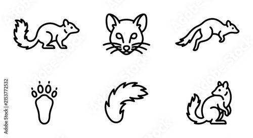 Vector Icons: Squirrel, Fox Face, Weasel, Paw Print, Bushy Tail, Mammal Set