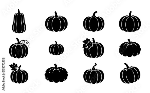 Vector Pumpkin Icons Set: Autumn Harvest, Fall Vegetables, Halloween & Thanksgiving Graphics Collection
