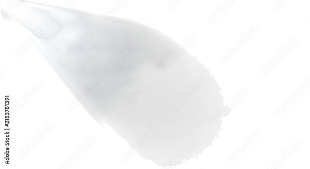 Fototapeta premium Delicate White Flower Petal with Soft Edges during Gentle Morning Light Isolated on transparent background