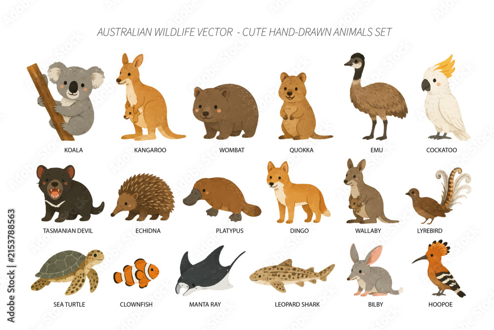 Obraz premium Australian Wildlife Vector Cute Hand Drawn Animals Set