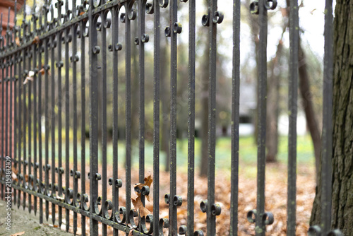 Obraz na płótnie Ornate, very old wrought iron fence . High quality photo