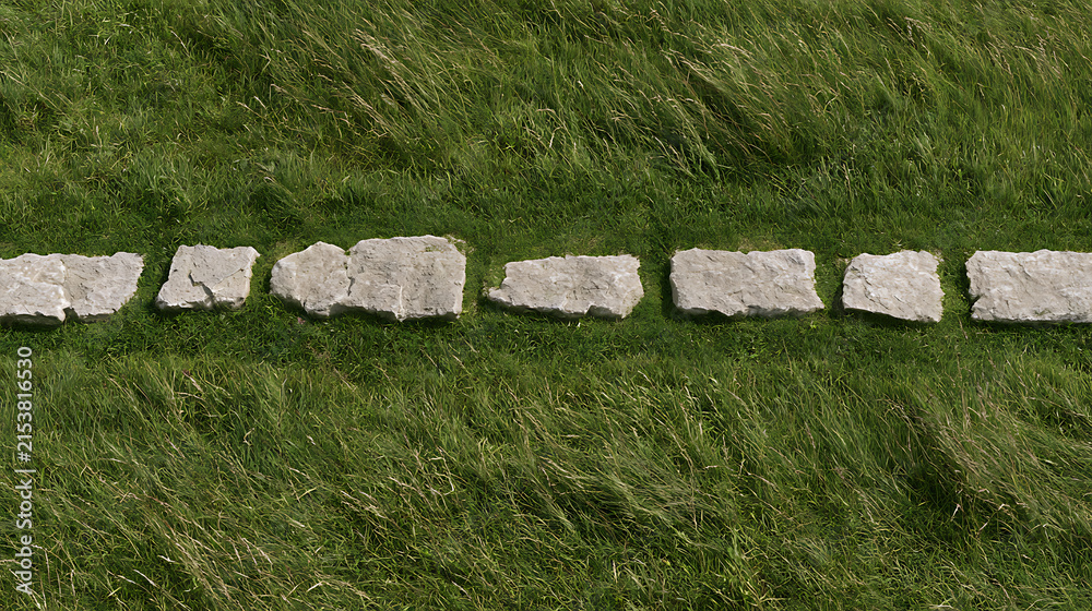 Fototapeta premium Stone path through lush green grass field, natural stepping stones, outdoor garden design, tranquil nature backdrop, overhead view, daylight, horizontal
