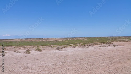 A salty semi-desert with patches of mono vegetation Sarzasan (Halocnemum strobilaceum), arid zone, dead land of Crimea
