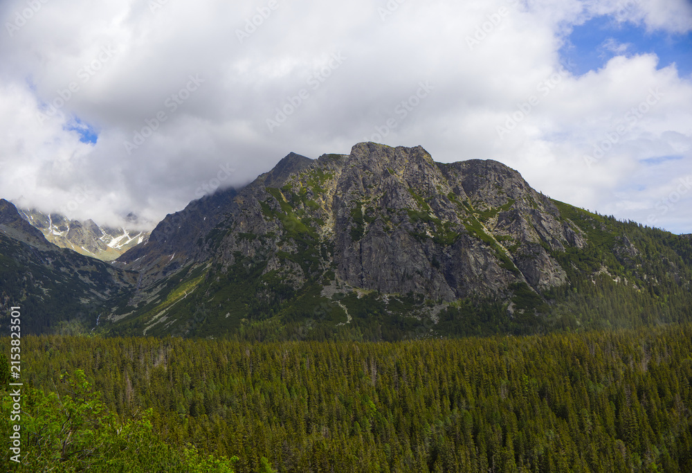 Fototapeta premium Scenic alpine landscape with lush green forest (Picea abies) and rugged rocky mountain ridge under cloudy sky in High Tatras, Slovakia. Beautiful summer mountain landscape background wallpaper 