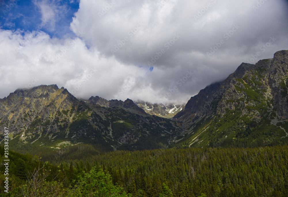 Fototapeta premium Scenic alpine landscape with lush green forest (Picea abies) and rugged rocky mountain ridge under cloudy sky in High Tatras, Slovakia. Beautiful summer mountain landscape background wallpaper 