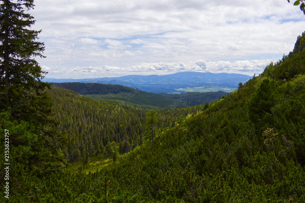 Fototapeta premium Scenic aerial view of lush green mountain valley and spruce forest (Picea abies) in High Tatras, Slovakia with distant mountain range.