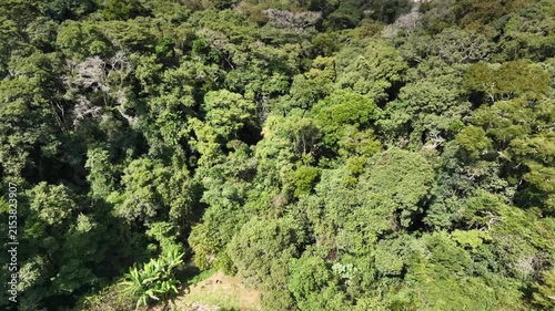 Aerial view of a brazilian rainforest in a sunny day.