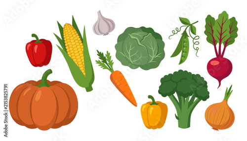 Fresh organic vegetable vector collection featuring pumpkin broccoli carrot bell pepper corn and healthy garden produce set