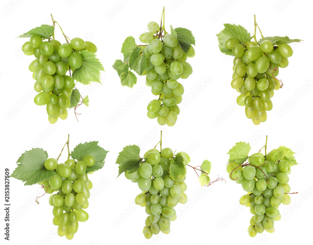 Obraz premium Fresh grapes. Many clusters isolated on white, set