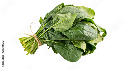 Canvastavla Fresh green spinach leaves tied with twine, isolated on transparent background