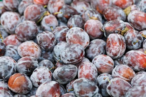 Foto Ripe organic purple plums (Prunus domestica) with natural protective bloom coating displayed close up at a local farmer market stall in daytime