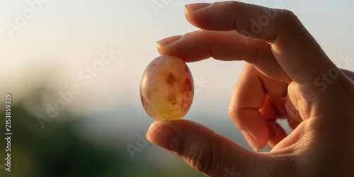 A close-up shot of a single fresh red grape held delicately between fingers against a soft-focus sunset background, representing viticulture, healthy eating, and harvest.