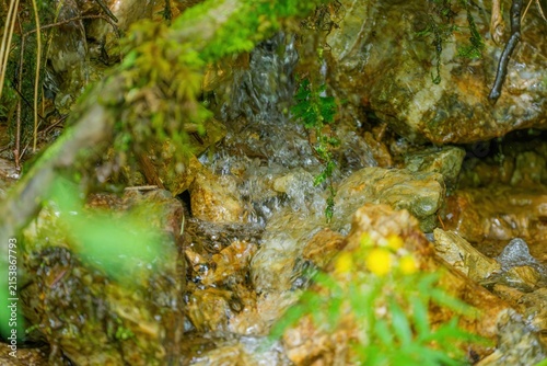 岩肌を流れる天然水と湧き水 ミネラルウォーターと清らかな自然の生命力