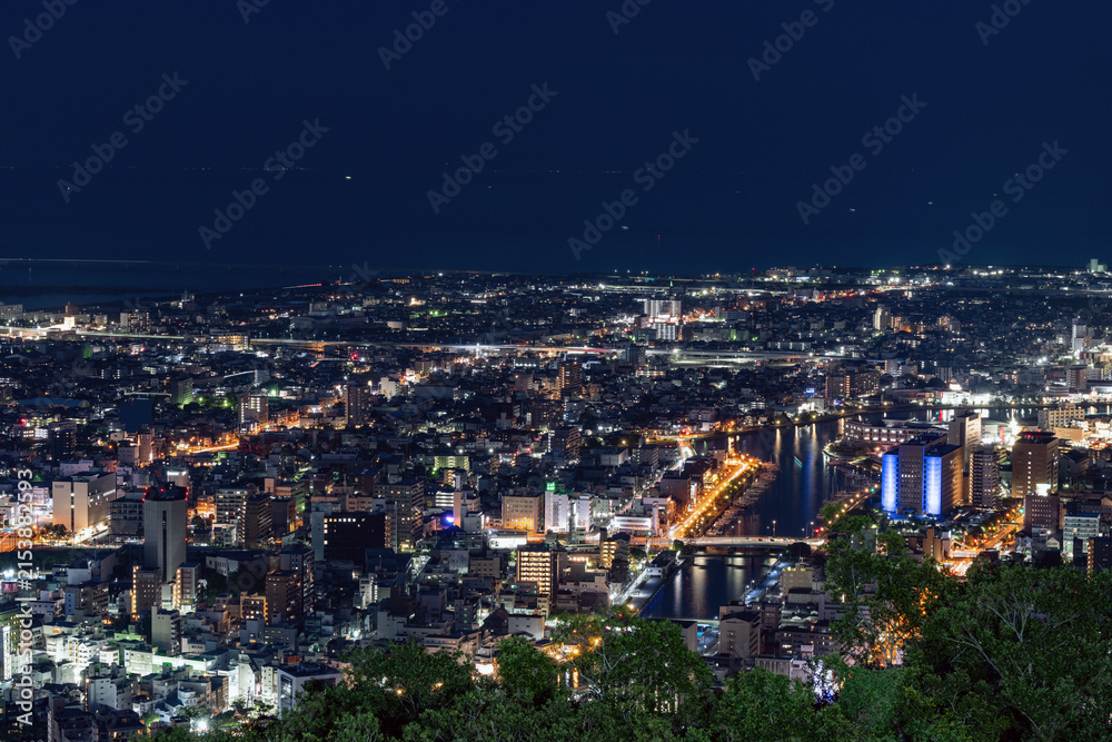 Fototapeta premium Panoramic night view of Tokushima city center from the summit of Mount Bizan.