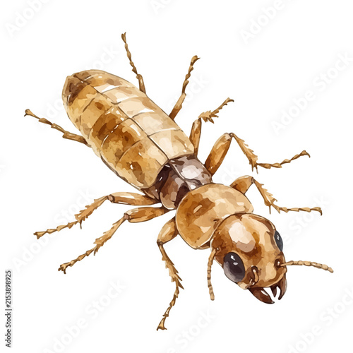 Termite, watercolor artwork with bold brush accents and dynamic composition, isolated on a white background.