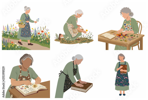 Elderly woman gardener collection with herbarium hobby and botanical craft illustrations