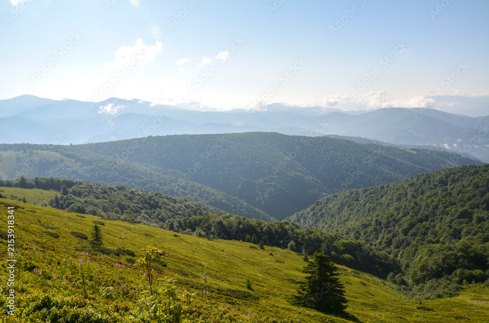 Naklejka premium Expansive sunlit rolling hills and a distant mountain range rise above a lush green meadow and dense deciduous forest. Carpathian Mountains, Ukraine