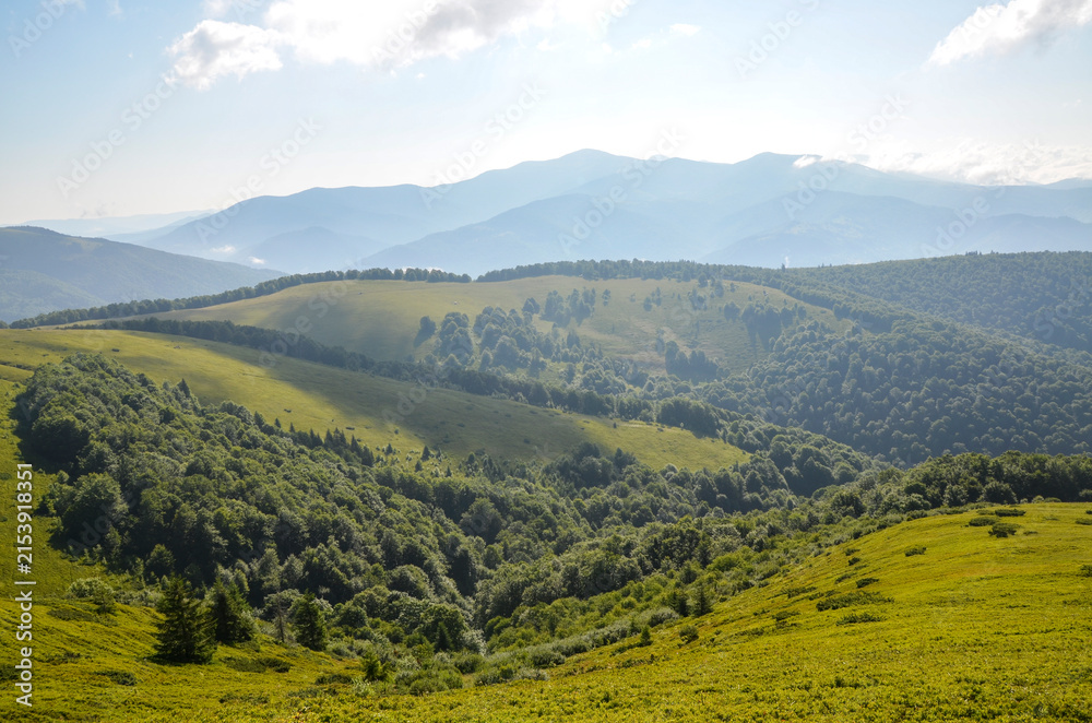 Naklejka premium Expansive sunlit rolling hills and a distant mountain range rise above a lush green meadow and dense deciduous forest. Carpathian Mountains, Ukraine