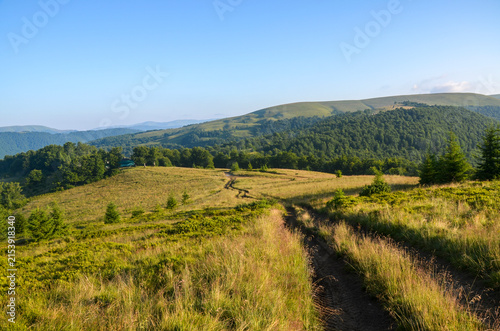 Sunlit mountain trail winds through green hills and forested valleys under a clear blue sky. Carpathian Mountains, Ukraine