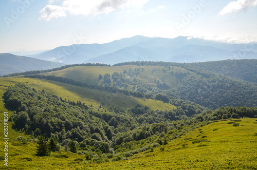 Expansive sunlit rolling hills and a distant mountain range rise above a lush green meadow and dense deciduous forest. Carpathian Mountains, Ukraine