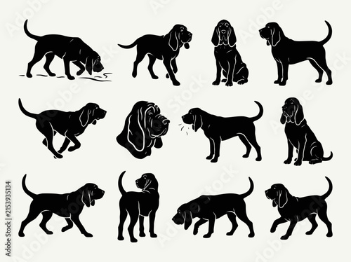 Bloodhound dog silhouettes set in various poses and actions for graphic design projects