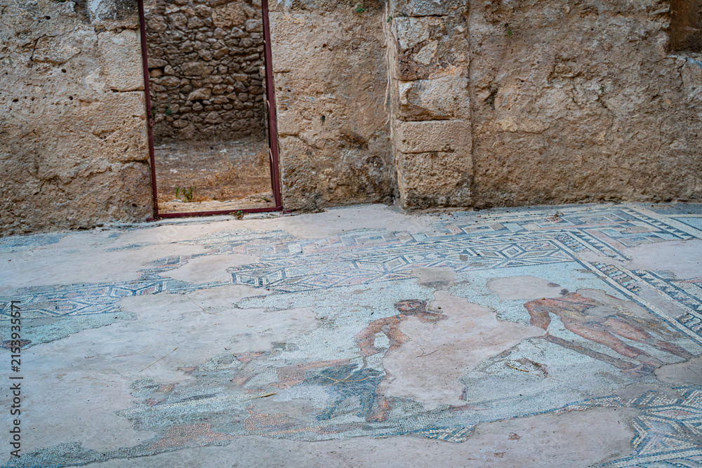 Fototapeta premium Ancient Mosaic Floor at Syedra Archaeological Site, Turkey
