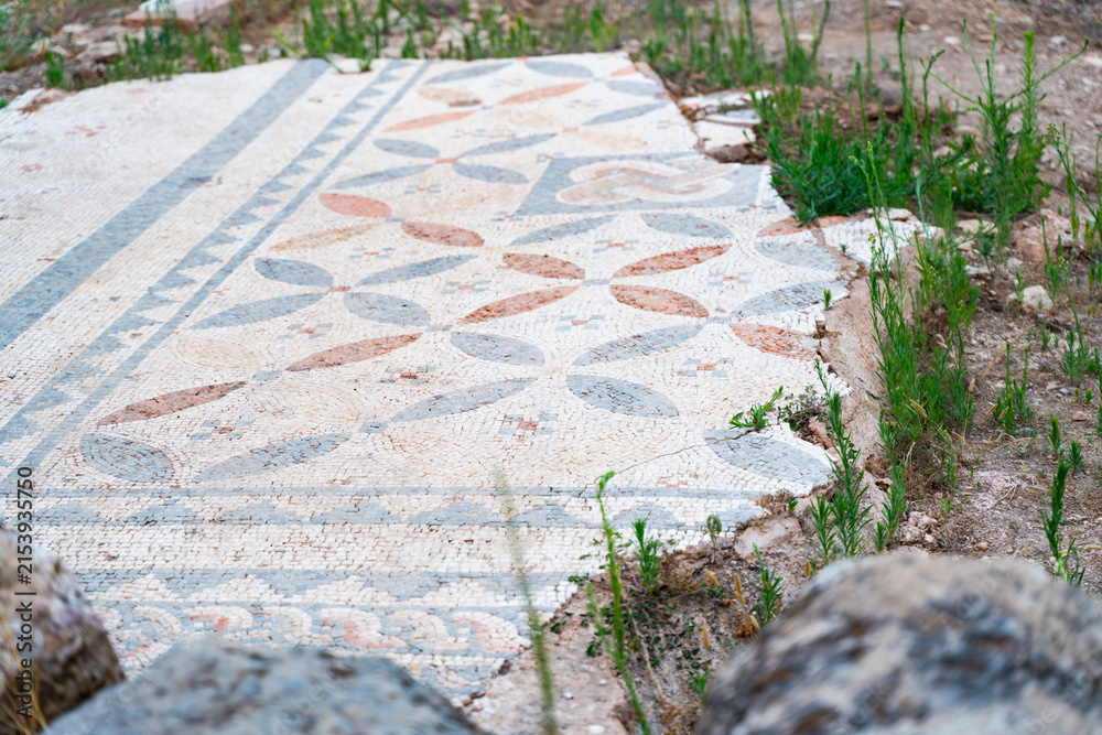 Fototapeta premium Ancient Mosaic Floor at Syedra Archaeological Site, Turkey