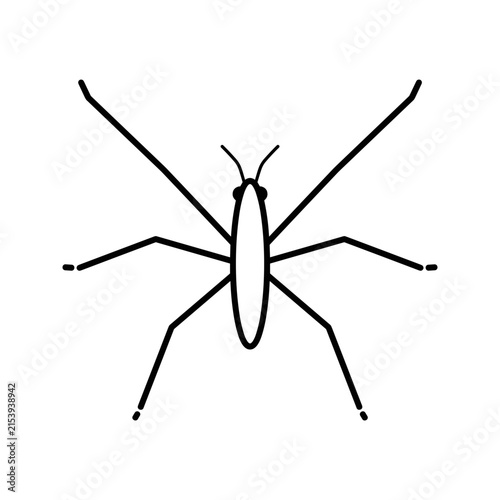 Simple Line Drawing of a Water Strider Insect 1.