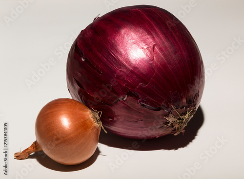 Two onions of different colors, one large and one small.