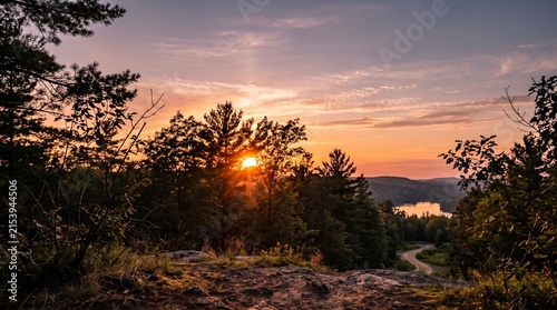 sunset in the forest