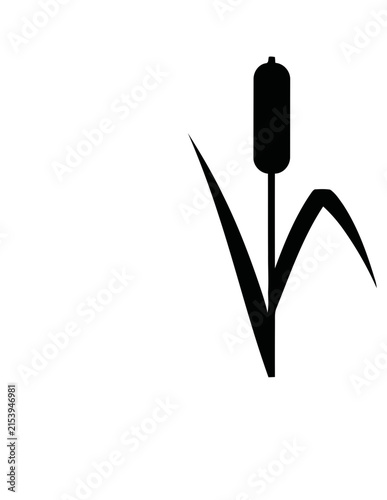 Black cattail reed plant silhouette botanical graphic.