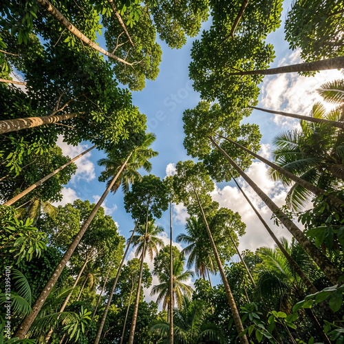 Photorealistic tropical forest canopy viewed from below, very tall slender trees rising from all directions, dense vibrant green leaves, bright blue sky in the center, soft fluffy clouds, warm natural