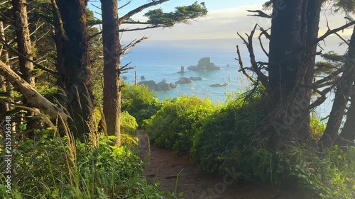 Ocean Sea Stacks Framed by Coastal Forest at Ecola State Park