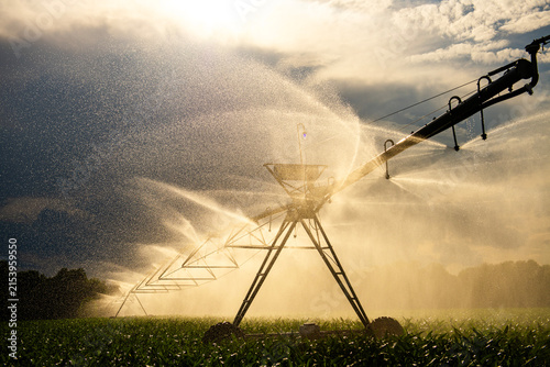 Foto Water spray covers fertile field