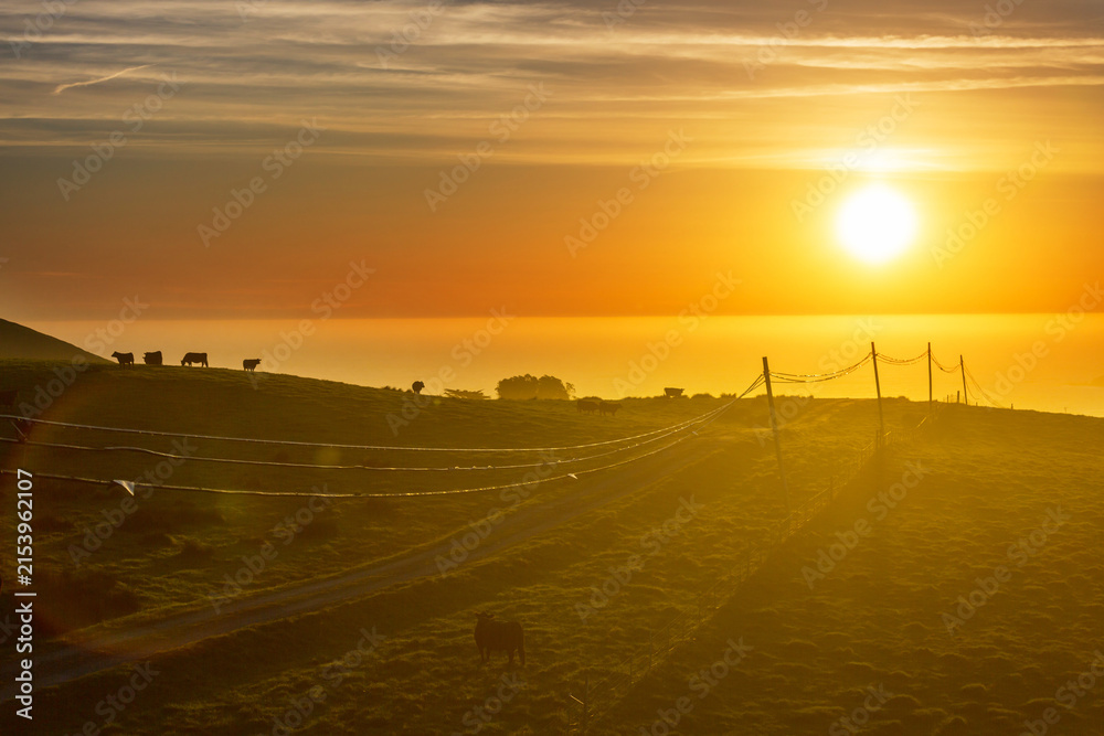 Obraz premium Rural landscapes
