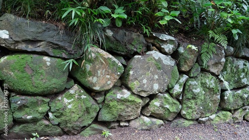 Foto Ancient stone retaining wall with green moss and wild plants in Japan