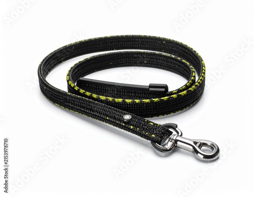 Durable Nylon Dog Leash with Metal Clasp