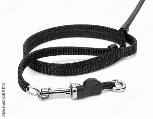 Durable Nylon Dog Leash with Metal Clasp