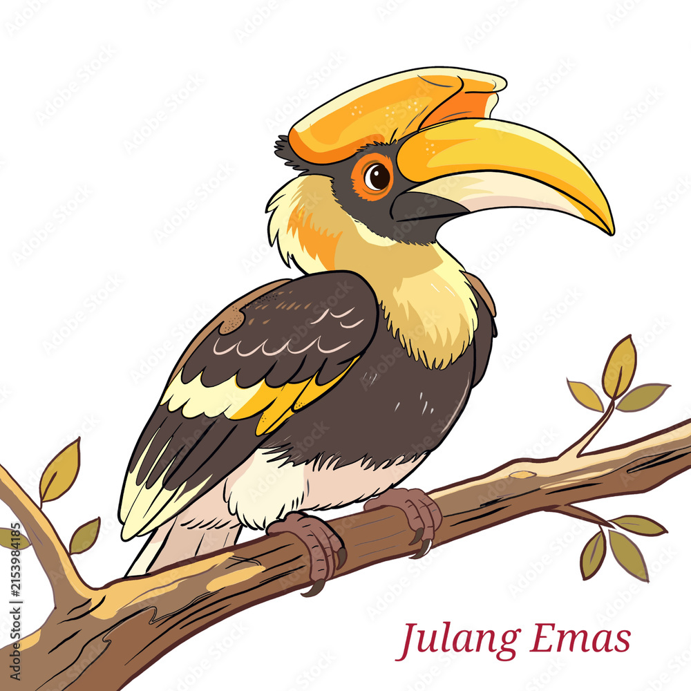 Obraz premium Wreathed Hornbill or Julang Emas Flat Vector Illustration - Endemic Bird of Java and Borneo Indonesia.png