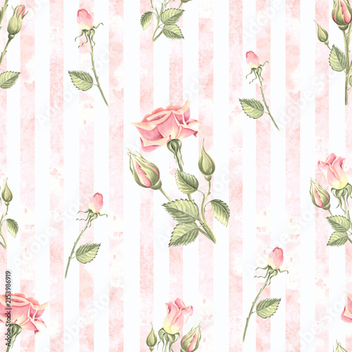 Roses with green leaves on pink strips watercolor seamless pattern. Floral background hand drawn illustration for summer design. Blooming gadern flowers template for packaging, textile, card, paper.