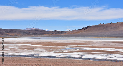 Foto Salar de Tara - Salar de Aguas Calientes -Los Flamencos National Reserve