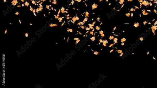 Animated Falling Maple Leaves Swirl with Transparent Background