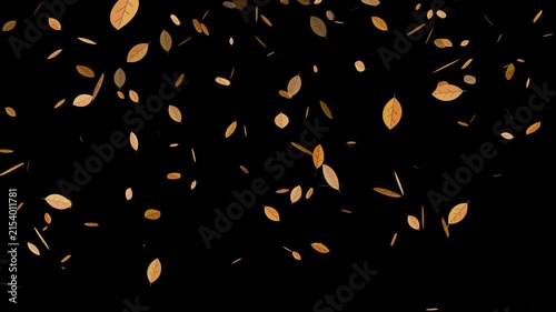 Autumn Leaves Motion Background with Alpha Channel