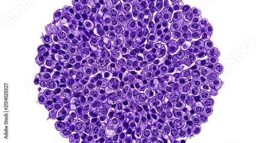violet microscope cells biology overlay element isolated on white background