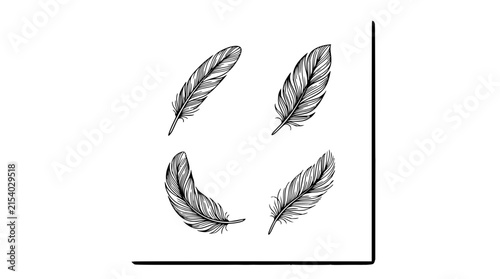 Feather set with four detailed line art drawings featuring realistic, botanical, and abstract styles with ink and pencil textures and