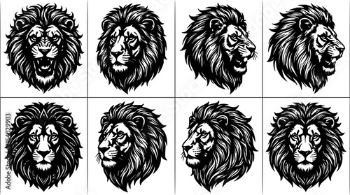 Lion head set with detailed vector illustrations featuring majestic mane, realistic fur texture, and side profile views with front-facing gaze and expressive eyes
