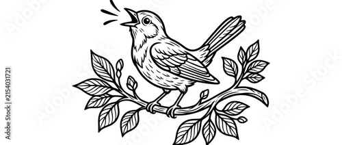 Фотография Black and white illustration of a singing bird on a branch