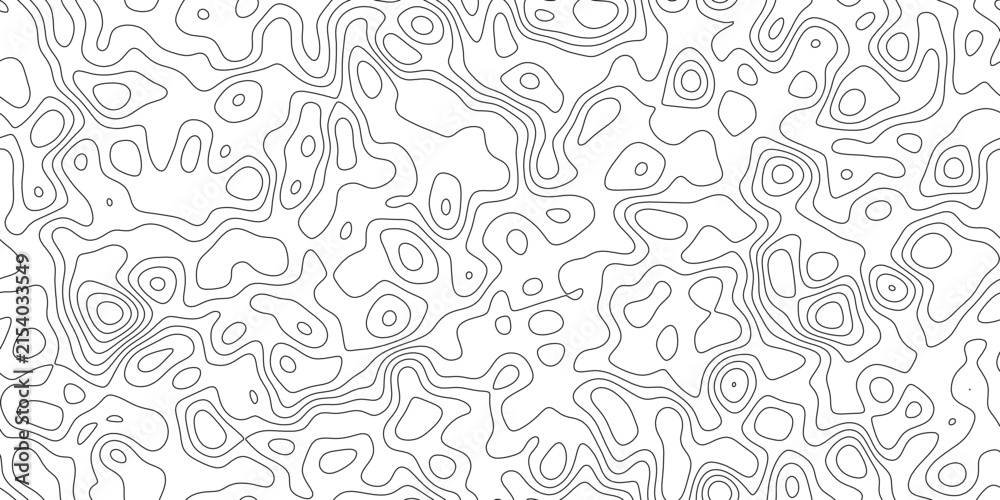 Fototapeta premium Abstract topographical contour lines forming a complex pattern, creating a sense of depth and elevation on a flat surface.