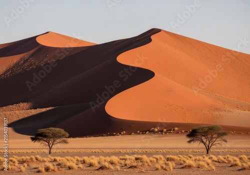 Iconic Namibian Desert Landscape with Towering Sand Dunes and Acacia Trees at Sunrise
